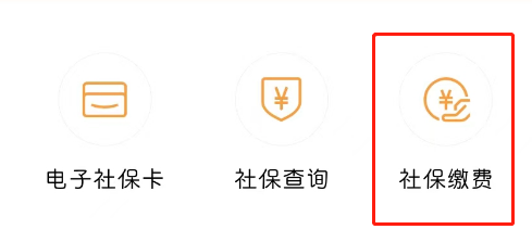 社保怎么自己缴费？